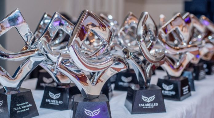 The Unlabelled Awards: Unsung Heroes