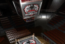 Crypto Boxers, the First BlockChain Backed Fantasy Video Game