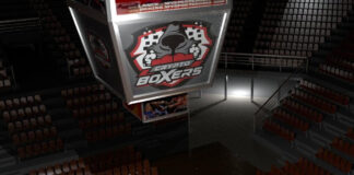 Crypto Boxers, the First BlockChain Backed Fantasy Video Game