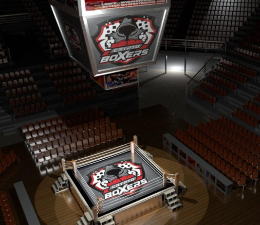 Crypto Boxers, the First BlockChain Backed Fantasy Video Game