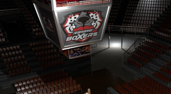 Crypto Boxers, the First BlockChain Backed Fantasy Video Game