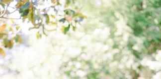 Dr. Alisha Reed: Mother, Pharmacist, Success Coach and Creator of the Lifestyle Brand Fly with Alisha Reed