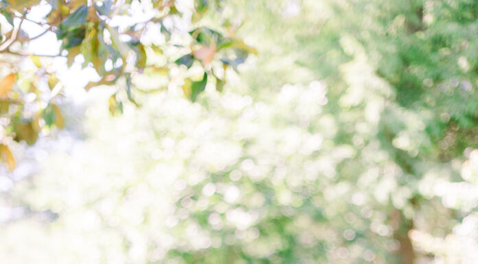 Dr. Alisha Reed: Mother, Pharmacist, Success Coach and Creator of the Lifestyle Brand Fly with Alisha Reed