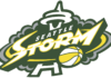 The WNBA’s Seattle Storm Prepare for a Return to Action