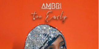 Interview with Buzzing New Artist AMBRI