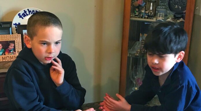 Families Play Nice With the Family Spinner