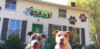 Fetch RI Keeps Pets Healthy And Happy