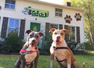 Fetch RI Keeps Pets Healthy And Happy