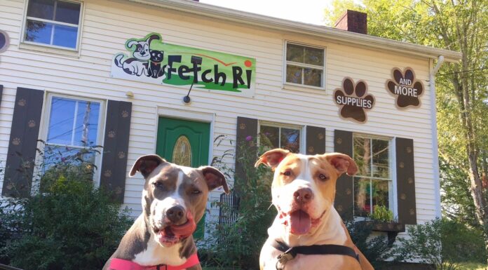 Fetch RI Keeps Pets Healthy And Happy