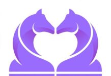 Chekmate Takes Online Dating Deeper with Text-Free App