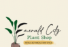 Find Your Green Thumb at Emerald City Plant Shop