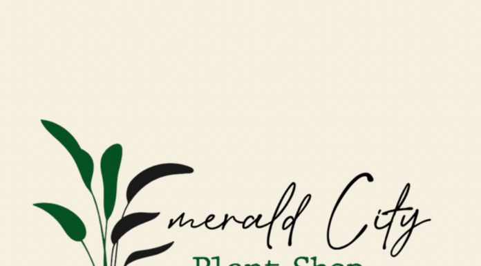 Find Your Green Thumb at Emerald City Plant Shop