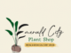 Find Your Green Thumb at Emerald City Plant Shop