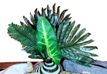 Jameelah Shamsiddeen Enhances Organic Skin Care During Black History Month