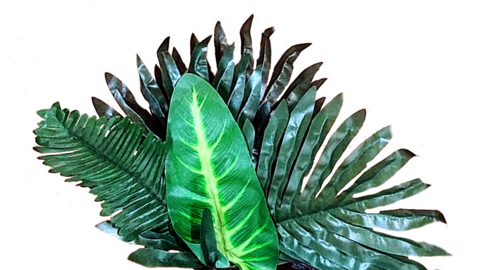 Jameelah Shamsiddeen Enhances Organic Skin Care During Black History Month