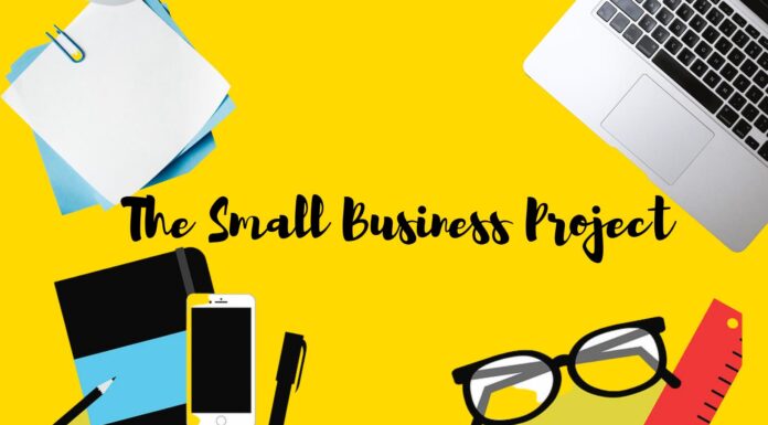 Natasha Lee and Colleagues Launch Small Business Project