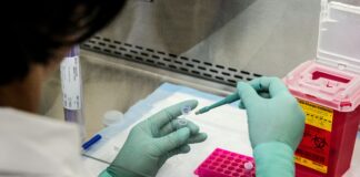 An Anonymous $1 Million Gift To The Global Virus Network Will Support New Educational And Training Initiatives