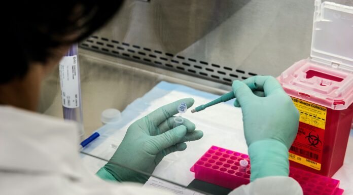 An Anonymous $1 Million Gift To The Global Virus Network Will Support New Educational And Training Initiatives