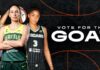 WNBA Unveils Vote for the GOAT Program