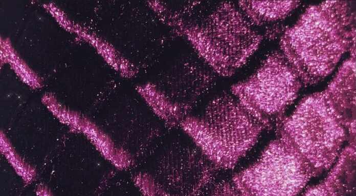 Cameron Dietz “Old Soul” Features The Game