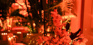 Solange Knowles Celebrates ‘Woman Made’ with VIP Dinner Party