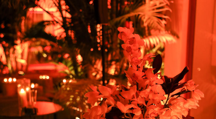 Solange Knowles Celebrates ‘Woman Made’ with VIP Dinner Party