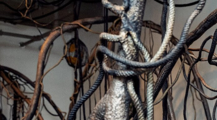 Mira Lehr: The Godmother of Miami’s Art Scene