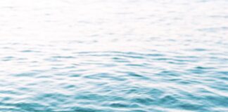 Self-Regulation: A Skill That Must Be Implemented