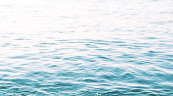 Self-Regulation: A Skill That Must Be Implemented