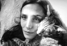 The Admirable Phaedra, Rescuing Beautiful Cats To Live Full Lives