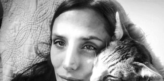 The Admirable Phaedra, Rescuing Beautiful Cats To Live Full Lives