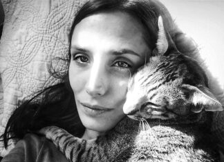 The Admirable Phaedra, Rescuing Beautiful Cats To Live Full Lives