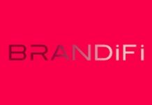 Brandifi CEO Nicole Monay Gives Businesses a Makeover