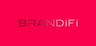 Brandifi CEO Nicole Monay Gives Businesses a Makeover