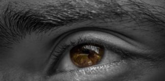 Low Vision Awareness Month