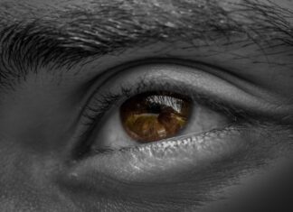 Low Vision Awareness Month