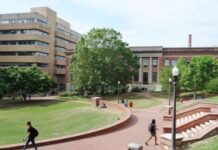 Smart Ways To Improve a College Campus for Students Smart Ways To Improve a College Campus for Students