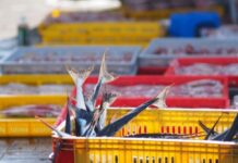 5 Industries That Use Industrial Platform Scales 5 Industries That Use Industrial Platform Scales