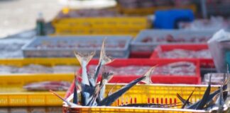 5 Industries That Use Industrial Platform Scales 5 Industries That Use Industrial Platform Scales