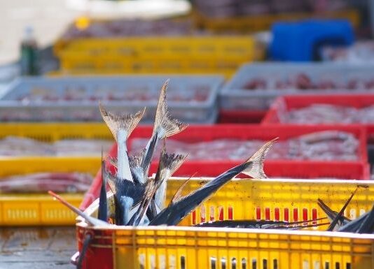 5 Industries That Use Industrial Platform Scales 5 Industries That Use Industrial Platform Scales