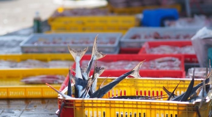 5 Industries That Use Industrial Platform Scales 5 Industries That Use Industrial Platform Scales