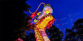 Tianyu is the Leader in Chinese Lantern Cultural Festivals