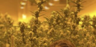 Family Physician Shows Benefits of Medical Marijuana Through Book, Courage Of Cannabis