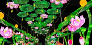 Tianyu Arts & Culture, Inc. Publicizes Spring Festivals and Discloses New Lanterns
