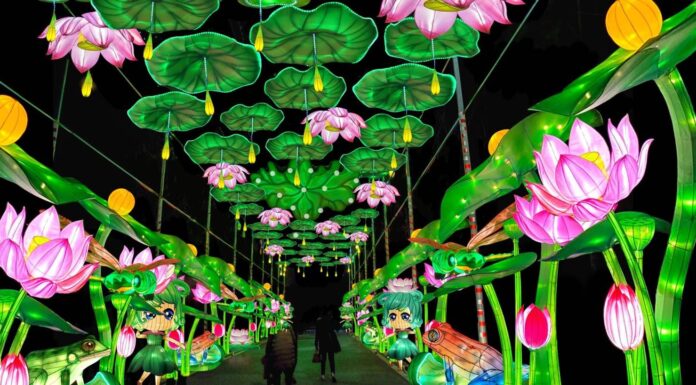Tianyu Arts & Culture, Inc. Publicizes Spring Festivals and Discloses New Lanterns