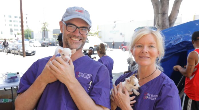 The ElleVet Project Provides Free Veterinary Care for Homeless Pets Co-Founders of The ElleVet Project Helping Pets in Need