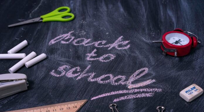 Explore 6 Cheap School Supply Stores