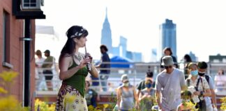 NOoSphere Arts: WE ARE NATURE 2022