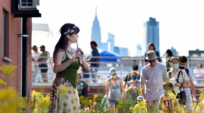 NOoSphere Arts: WE ARE NATURE 2022