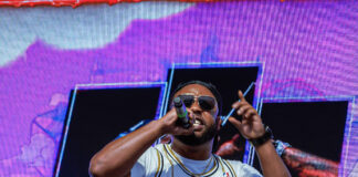 Krypto Capitalizes on New Single Success at Purple Block Party